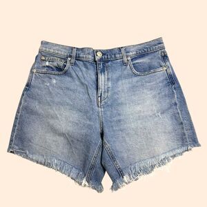 AYR Day Off Jean Shorts